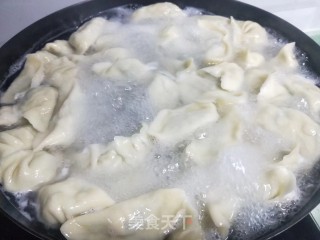 韭菜虾仁饺子的做法步骤：12