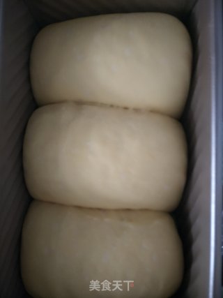 波兰种吐司的做法步骤：9