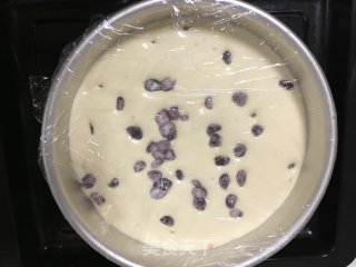 蔓越莓蒸蛋糕的做法步骤：10