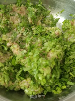 鲅鱼（马鲛鱼）饺的做法步骤：14