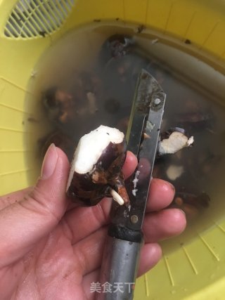 胡萝卜马蹄牛骨汤的做法步骤：3