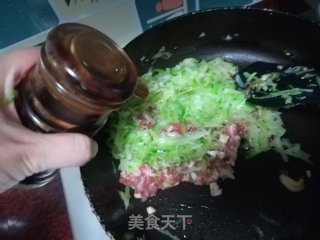 青萝卜猪肉馅饼的做法步骤：6