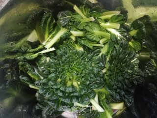 虾皮蒜蓉浇百叶菜的做法步骤：2