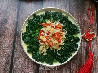 虾皮蒜蓉浇百叶菜的做法步骤：11