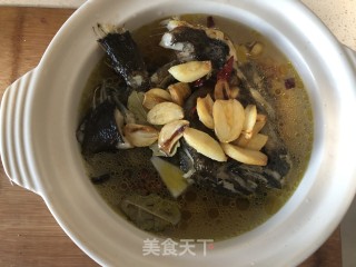 蒜香砂锅鲽鱼头的做法步骤：8