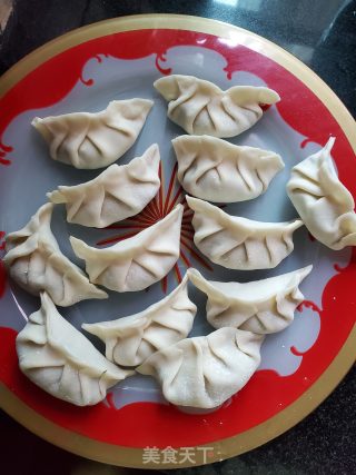 韭菜肉馅煎饺的做法步骤：6