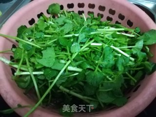 蒜蓉西洋菜的做法步骤：1