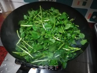 蒜蓉西洋菜的做法步骤：4