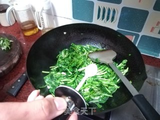 蒜蓉西洋菜的做法步骤：5
