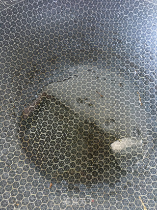 莲藕焖羊肉的做法步骤：19