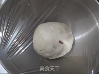 鲜奶蔓越莓吐司（冷藏发酵法）的做法步骤：7