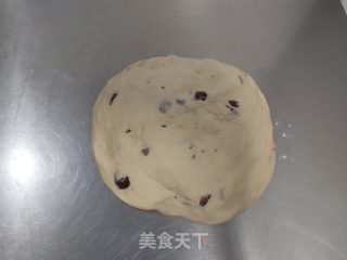 鲜奶蔓越莓吐司（冷藏发酵法）的做法步骤：9