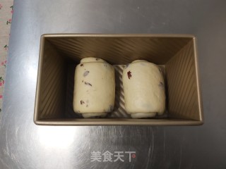 鲜奶蔓越莓吐司（冷藏发酵法）的做法步骤：15