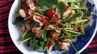凉拌香菜的做法步骤：4