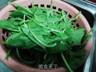 蒜香小菠菜的做法步骤：1