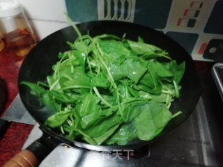蒜香小菠菜的做法步骤：4