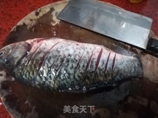 茵陈鲫鱼汤的做法步骤：5