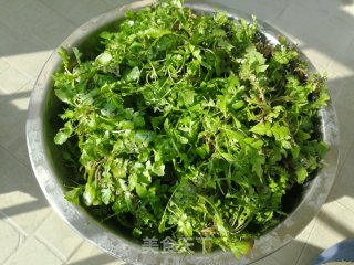 荠菜冬笋炒肉丝的做法步骤：1