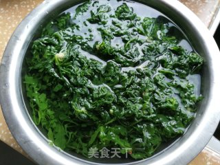 荠菜冬笋炒肉丝的做法步骤：2
