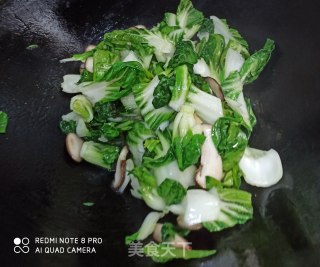 鲜香菇烧青菜的做法步骤：4