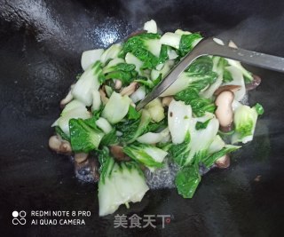 鲜香菇烧青菜的做法步骤：5
