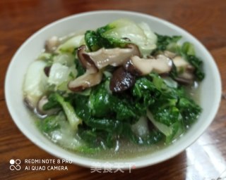 鲜香菇烧青菜的做法步骤：6