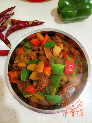 家庭版大盘鸡的做法步骤：13
