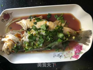 清蒸鲈鱼的做法步骤：8