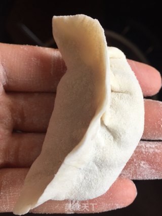 牛肉萝卜饺子的做法步骤：9