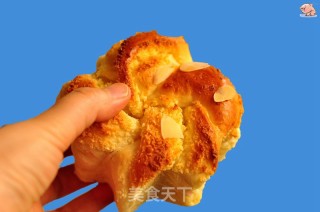 星形椰蓉面包（汤种）的做法步骤：17