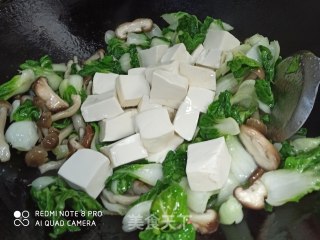 蟹味菇烧豆腐青菜的做法步骤：6