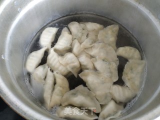 素三鲜饺子的做法步骤：14