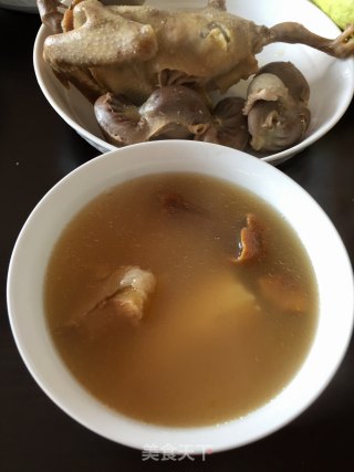 黄芪百合淮山老鸽汤的做法步骤：10