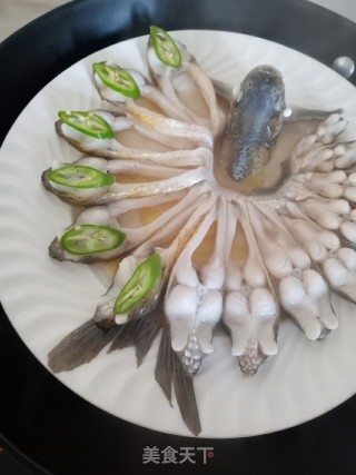 孔雀开屏的做法步骤：7