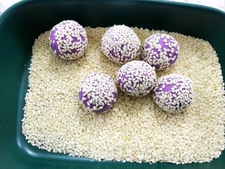 紫薯芝麻球的做法步骤：8