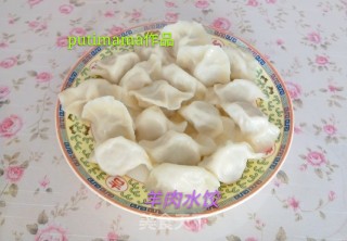 羊肉水饺的做法步骤：9