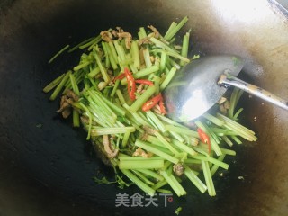 小炒黄牛肉的做法步骤：10