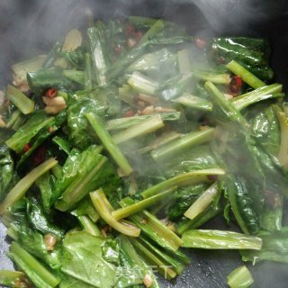 爆炒油麦菜的做法步骤：7