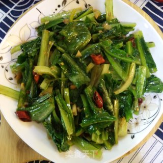 爆炒油麦菜的做法步骤：9