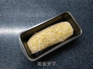 无糖无油全麦面包的做法步骤：8