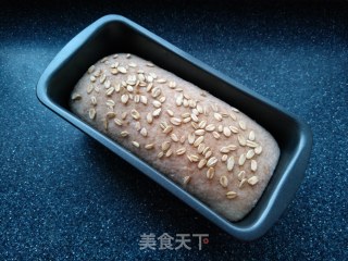 无糖无油全麦面包的做法步骤：9