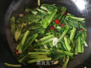 清炒莴笋叶的做法步骤：7