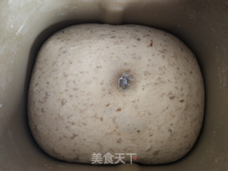 玫瑰香全麦软欧包的做法步骤：7