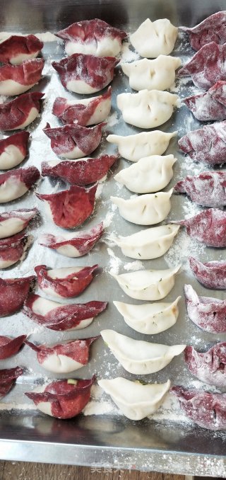 过年红火饺子的做法步骤：5