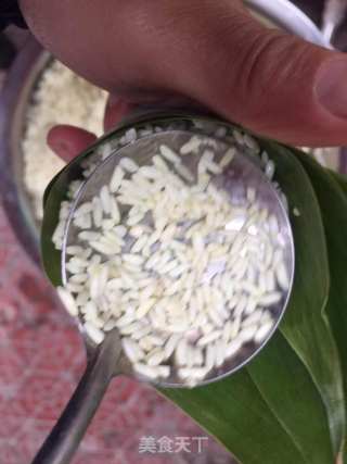 鲜肉粽子的做法步骤：6