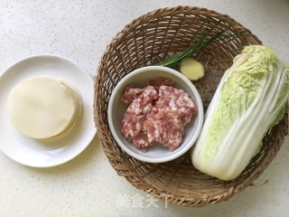 白菜猪肉煎饺的做法步骤：1