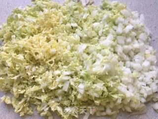 白菜猪肉煎饺的做法步骤：2