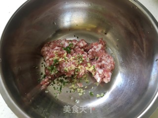 白菜猪肉煎饺的做法步骤：5
