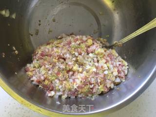 白菜猪肉煎饺的做法步骤：7