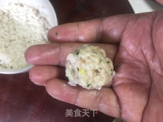 珍珠肉丸的做法步骤：4